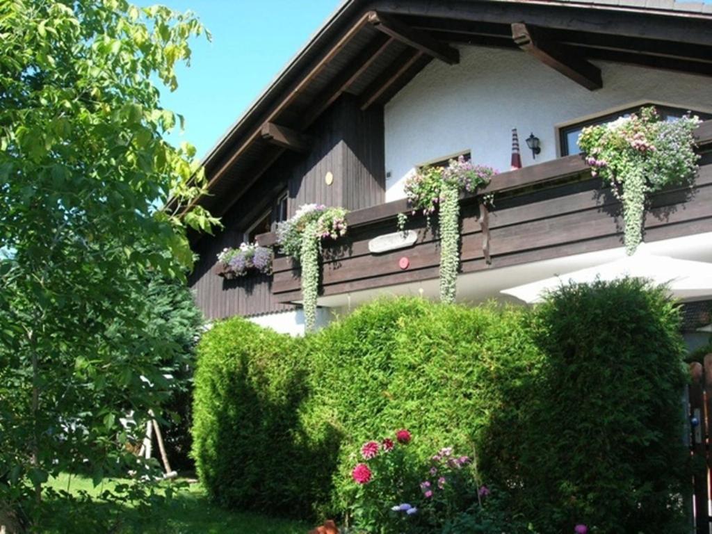 Harzhaus Rauch Apartment Braunlage Phòng bức ảnh